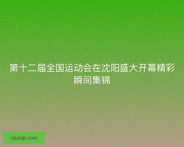 第十二届全国运动会在沈阳盛大开幕精彩瞬间集锦