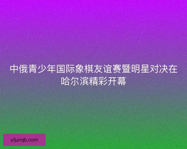中俄青少年国际象棋友谊赛暨明星对决在哈尔滨精彩开幕