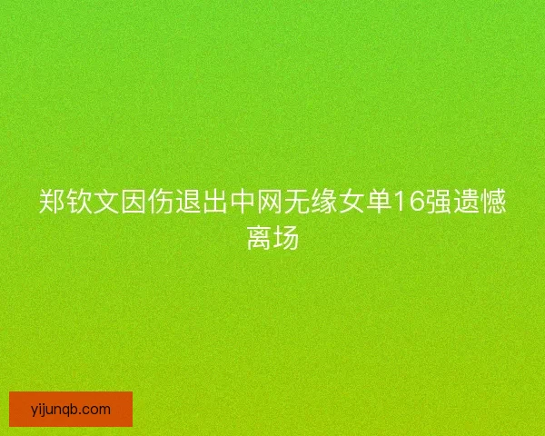郑钦文因伤退出中网无缘女单16强遗憾离场