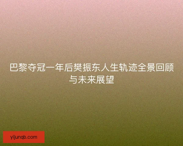 巴黎夺冠一年后樊振东人生轨迹全景回顾与未来展望